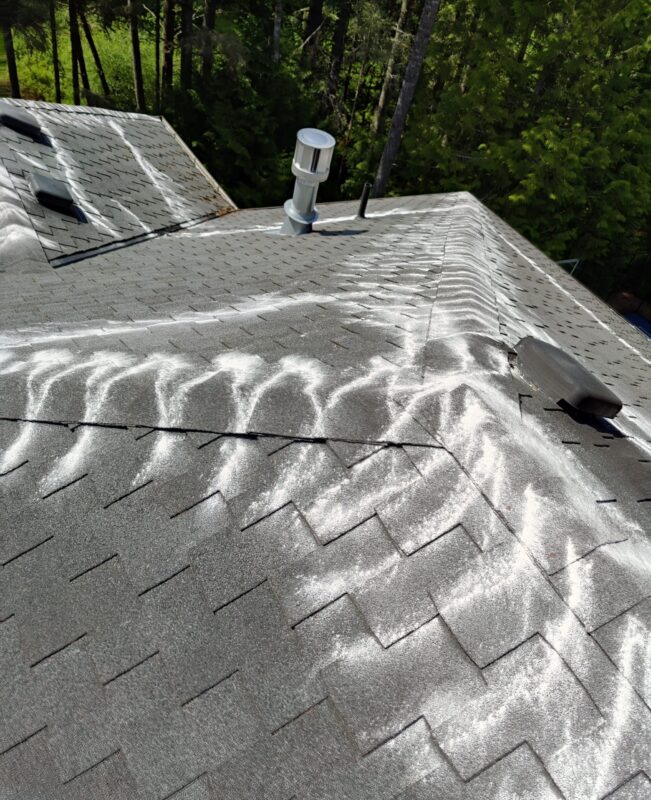 moss treatment