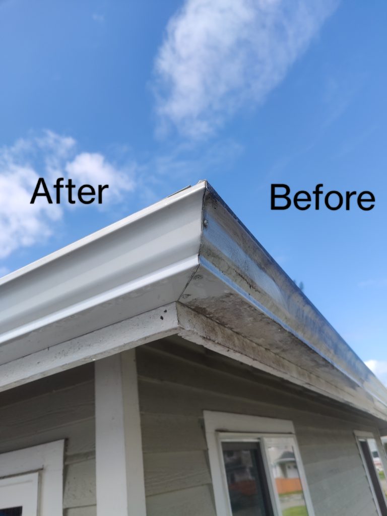 Outside Gutter Cleaning