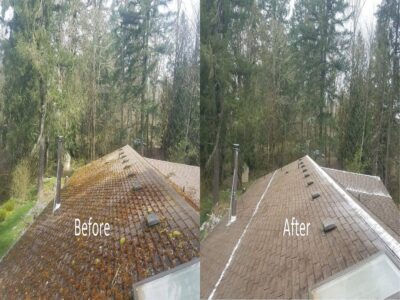 Roof Moss Removal