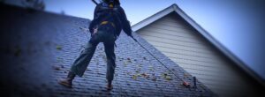 Professional roof cleaning services in Gig Harbor, WA