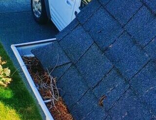 professional gutter cleaning service