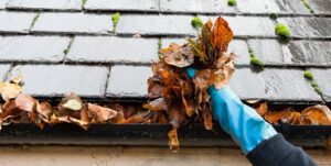 gutter cleaning service