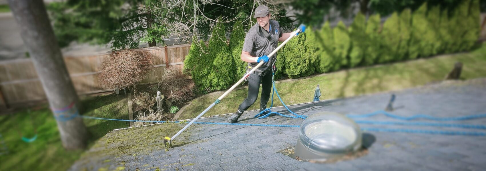cleaning