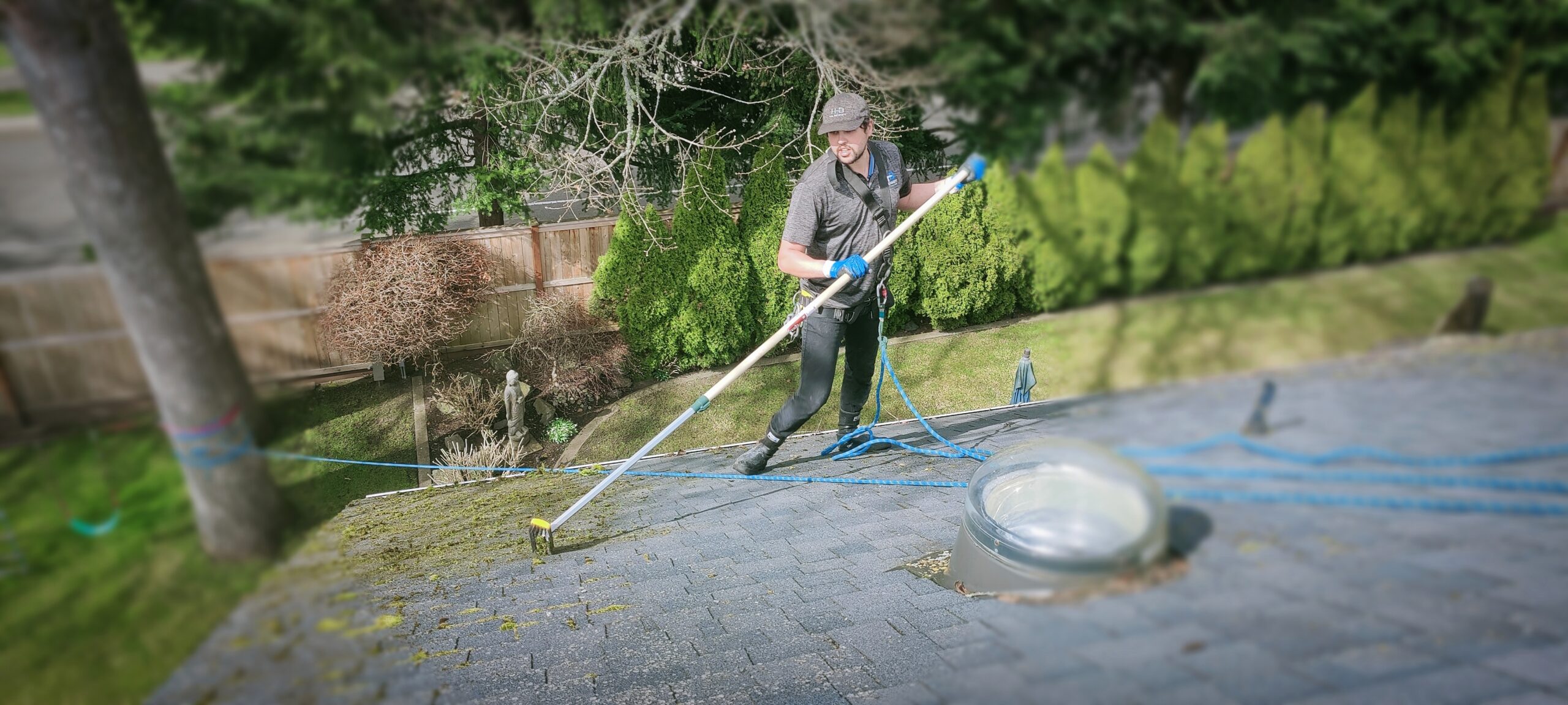 Roof Moss Removal