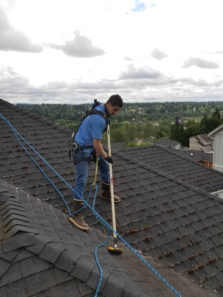 Roof moss removal