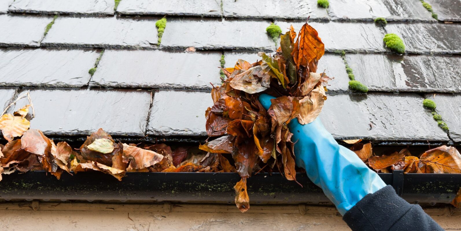 Gutter Cleaning