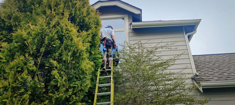 Window Cleaning Experts