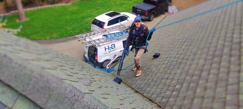 Professional Roof Cleaning Service 