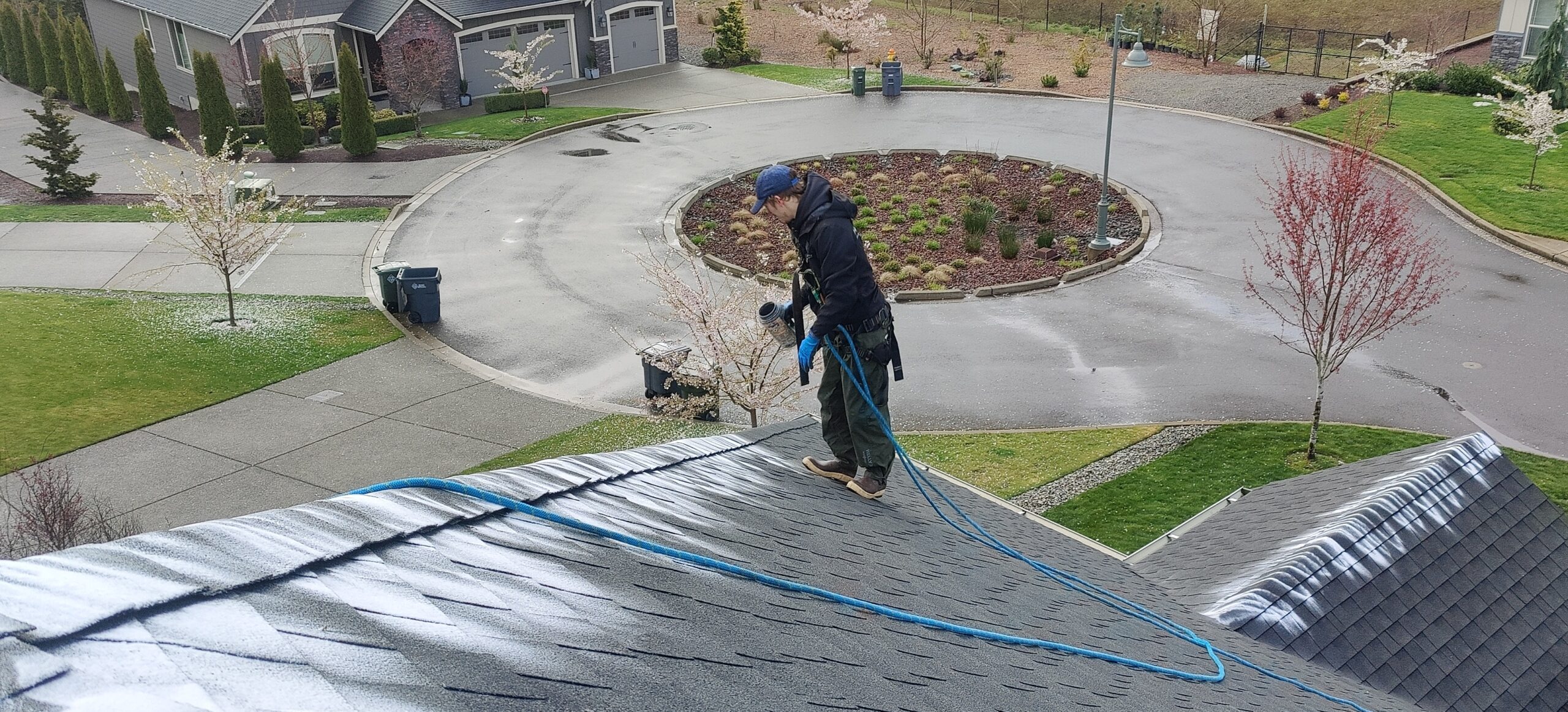 Roof Moss Treatment