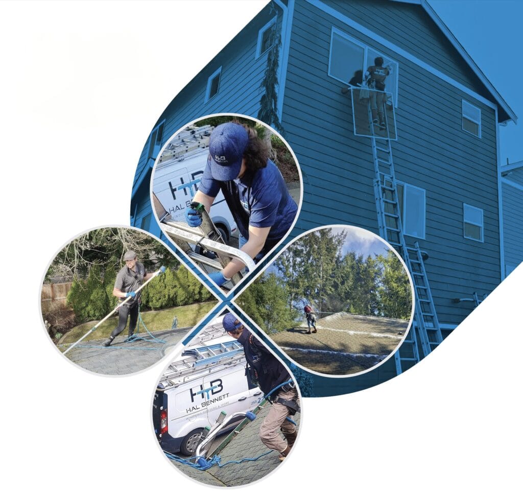 Window cleaning to gutters, we have you covered