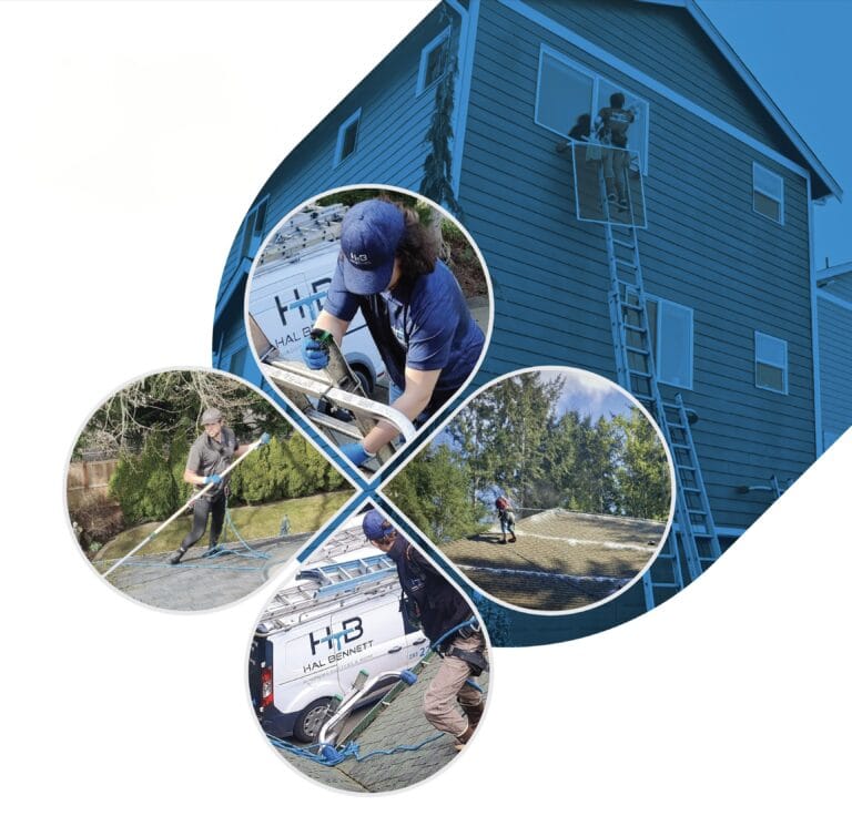 Window cleaning to gutters, we have you covered