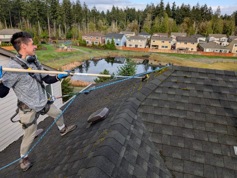 Roof Moss Treatment